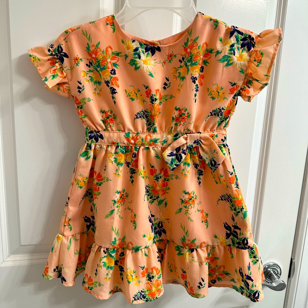 Janie and Jack floral party dress size 2t.
